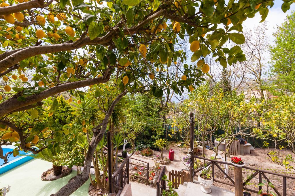 Nitrodi Experience Guest House Barano dʼIschia Екстериор снимка