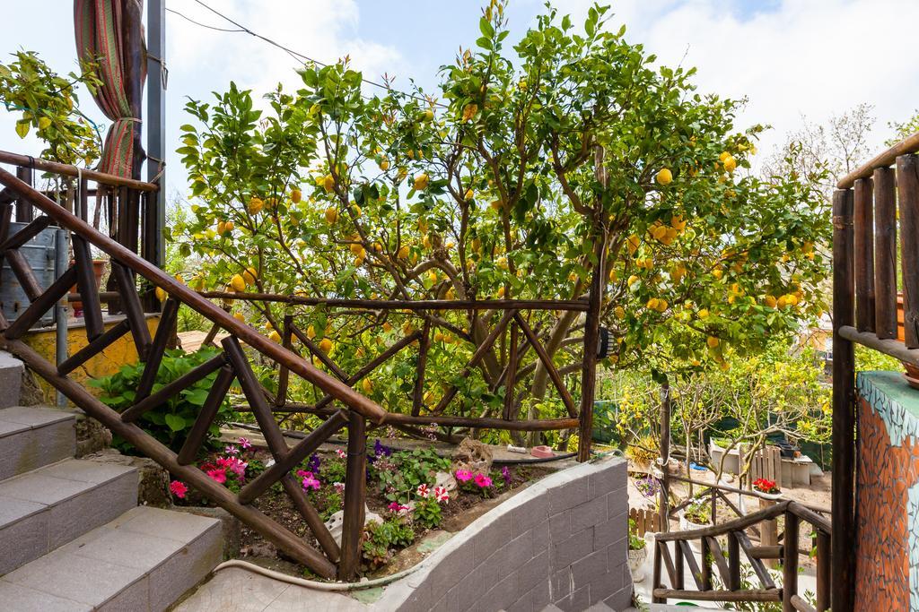 Nitrodi Experience Guest House Barano dʼIschia Екстериор снимка